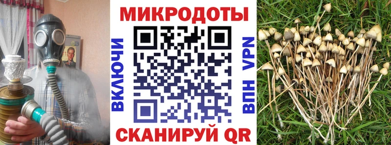Галлюциногенные грибы MAGIC MUSHROOMS  Купить закладки  Междуреченск 